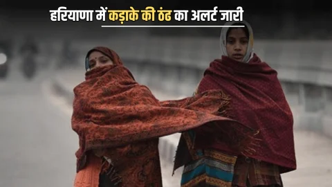 हरियाणा पर 48 घंटे रहेंगें भारी, इन 6 जिलों में जम जायगा पाला, न्यूनतम तापमान में होगी तेजी से गिरावट