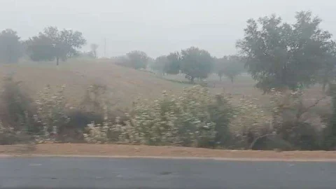 वर्षा से किसानों का मन हर्षाया, सर्दी बढ़ी