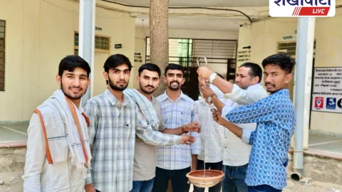 झुंझुनूं मोरारका कॉलेज: एसएफआई ने पक्षियों के लिए लगाए परिंडे