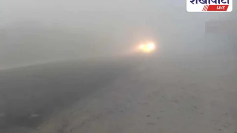 मौसम का पहला घना कोहरा: विजिबिलिटी 50 मीटर से कम