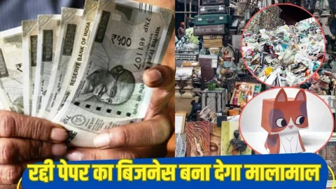 Business Idea: पुराने और रद्दी अखबारों से शुरू करें ये शानदार बिजनेस, 30000 की कमाई, घर बैठे बन जाएंगे मालामाल