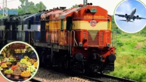 ट्रेन और प्लेन में सफर के दौरान भूलकर भी नहीं ले जाएं ये फल, वरना लग जाएगी हथकड़ी, देना होगा जुर्माना