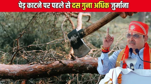 Rajasthan : राजस्थान में अब पेड़ काटने पर पहले से दस गुना अधिक जुर्माना, पर्यावरण को बचाने के लिए सरकार का बड़ा फेंसला
