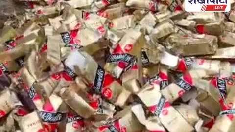 Churu News: चूरू में 500 कार्टन अवैध शराब बुलडोजर से नष्ट