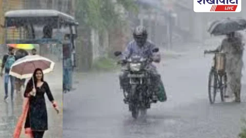 झुंझुनूं में येलो अलर्ट, सीकर-चूरू में ऑरेंज अलर्ट जारी