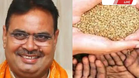 180 अपात्र व्यक्तियों को नोटिस जारी किए, वसूली की कार्रवाई शुरू की जाएगी