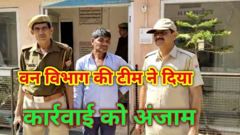 वन विभाग की टीम ने दिया बड़ी कार्रवाई को अंजाम – Video News