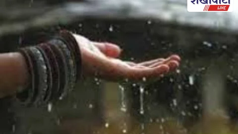 लो आ गई वर्षा: शेखावाटी में 22 जून तक यलो अलर्ट जारी