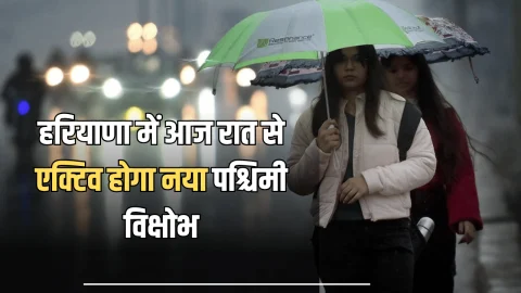 Haryana Weather Update : हरियाणा में आज रात से एक्टिव होगा नया पश्चिमी विक्षोभ, बारिश के साथ शीतलहर का अलर्ट जारी