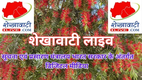 चूरू जिला सैनी (माली) समाज की कार्यकारिणी का पुनर्गठन