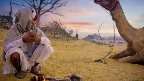 शेखावाटी में भयंकर शीतलहर का प्रकोप, राजस्थान के इन शहरों में कड़ाके के ठंड का अलर्ट जारी, पढ़े ताजा वेदर अपडेट