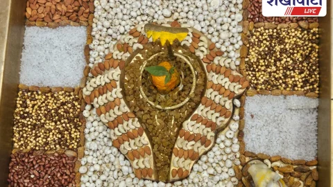 श्रावण में पातालेश्वर महादेव पर ड्राई फ्रूट्स श्रृंगार