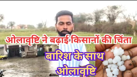 Video News – आज हुई ओलावृष्टि ने बढ़ाई किसानों की चिंता