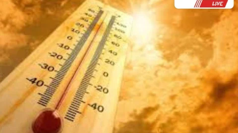 गर्मी में दोपहर 12 से 3 तक भारवाहक पशु उपयोग पर रोक : sikar