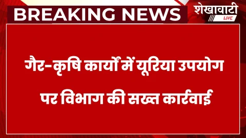 सीकर में उर्वरक विक्रेता बालाजी इंटरप्राइजेज का लाइसेंस रद्द