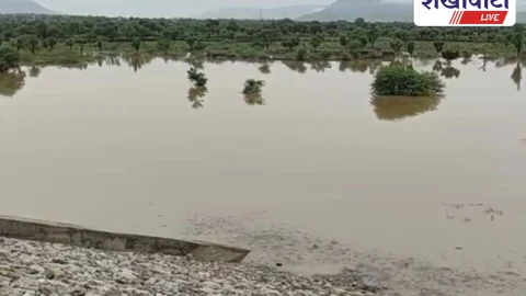 Sikar News: कोटड़ी बांध में बढ़ा जलस्तर, 836 हेक्टेयर को सिंचाई लाभ