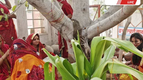 वट सावित्री व्रत: झुंझुनूं में महिलाओं ने की पूजा अर्चना