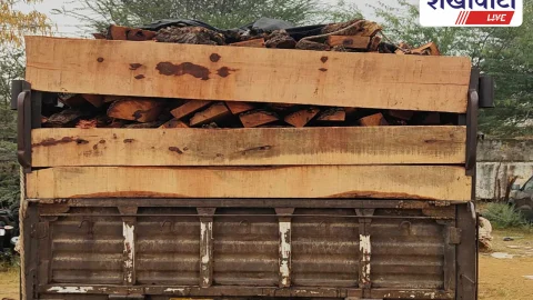 पुलिस की कार्रवाई: हरी लकड़ियों से भरी पिकअप गाड़ी जब्त