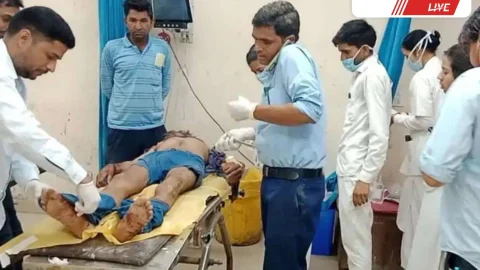 युवक पर कुत्तों ने किया हमला