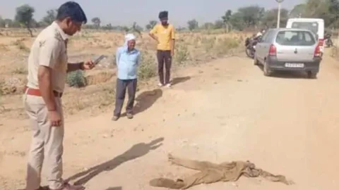 सीकर जिले में मिला जमीन में दबा शव, नोच रहे थे कुत्ते