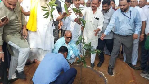 पौधारोपण टारगेट पूरा करने पर टीचर को ट्रांसफर मेरिट में मिलेंगे 5 अंक – शिक्षा मंत्री मदन दिलावर