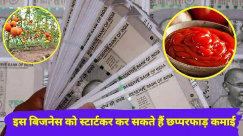 कम समय में बनना है मालामाल तो शुरू करें ये धांसू बिज़नेस, होगी छप्परफाड़ कमाई, सरकार भी करेगी मदद