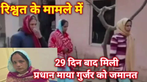 Video News – रिश्वत के मामले में 29 दिन बाद मिली प्रधान माया गुर्जर को जमानत