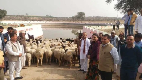 जल संरक्षण को दैनिक आदत में शामिल करें – जिला कलक्टर