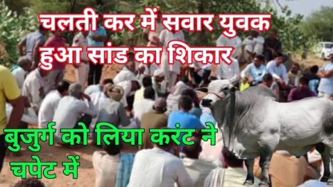 Video News – चूरू जिले से मिल रही है दो बड़ी खबरे, चलती कार सवार युवक को बनाया सांड ने शिकार और….