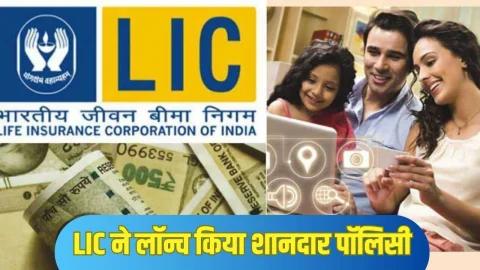 LIC ने लॉन्च किया धमाकेदार पॉलिसी, बेहद कम निवेश पर मिलेगा शानदार रिटर्न, यहां देखें डीटेल्स