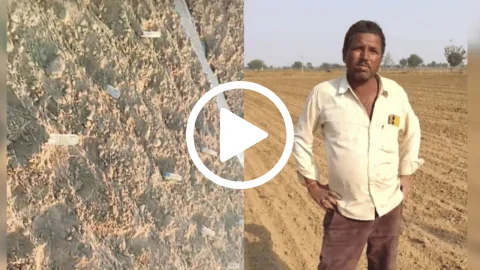 राजस्थान के किसान ने फसल बीमा मुआवजा न मिलने पर खेतों में बो दिए 500-500 रुपए के नोट, जानें वायरल वीडियो की सच्चाई