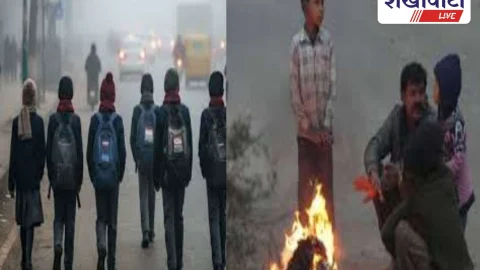 शीतलहर अलर्ट: कक्षा 1–5 अवकाश, 6–12 का समय बदला