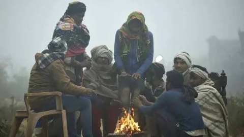 Rajasthan Weather Alert: राजस्थान में बिछी कोहरे की चादर, इन जिलों में 4 डिग्री सेल्सियस पहुंचा तापमान, पढ़े अपने जिले का हाल
