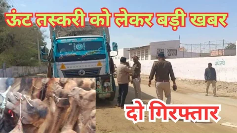 Video News – ऊंट तस्करी को लेकर सामने आ रही है बड़ी खबर