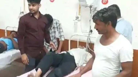 खेत में मूंग निकाल रहे किसान को सांप ने डसा