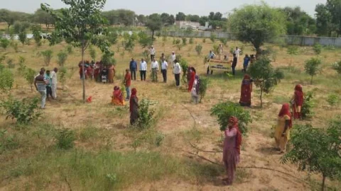 पेड़ों को रक्षा सूत्र बांधकर पर्यावरण संरक्षण की शपथ ली