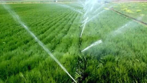 सूक्ष्म सिंचाई कार्यक्रम के ऑनलाईन आवेदन प्रारम्भ