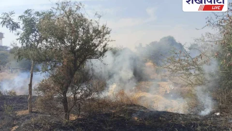 Sikar News: कृषि कॉलेज में लगी आग, दमकल ने एक घंटे में पाया काबू