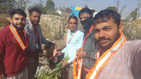 कमूल संस्थान ने अभियान के तहत बेसहारा पशुओ के गले में रेडियम बेल्ट बांधे