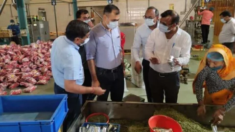 मिलावटी मसालों पर सरकार सख्त – 71 सैंपल लिए, 12 हजार किलो से अधिक मसाले सीज