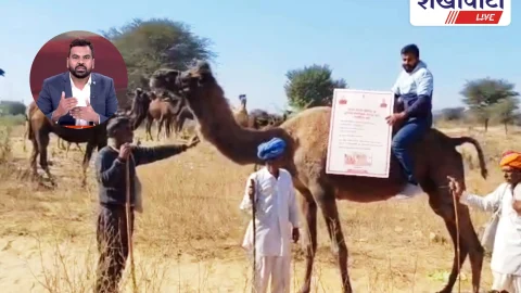 खेतड़ी में ऊंट पर सवार पशु चिकित्सक ने किया मंगला बीमा प्रचार