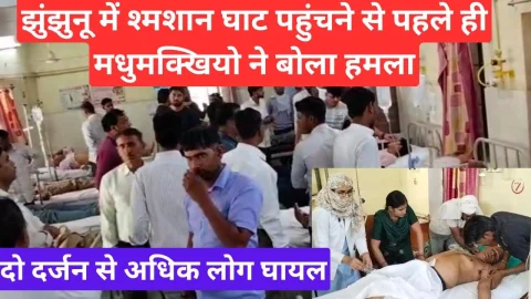Video News – झुंझुनू में शमशान घाट पहुंचने से पहले ही मधुमक्खियों ने किया हमला