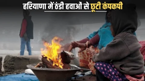 Mousam Update : हरियाणा में ठंडी हवाओं से छूटी कंपकपी, 8 दिसंबर से और बढ़ेगी ठंड, देखें तब तक का कैसा रहेगा मौसम