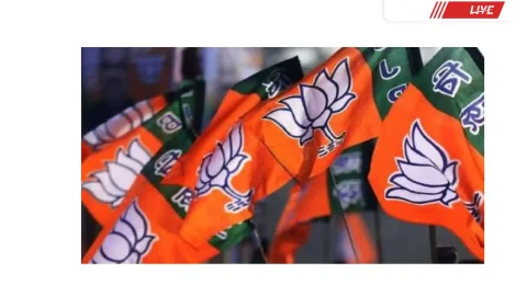 भाजपा स्थापना दिवस को लेकर मण्डल अध्यक्षों की बैठक कल