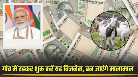 Best Business Idea: गांव में रहकर शुरू करें ये Business, सरकार भी करेगी मदद, घर बैठे छापेंगे पैसा