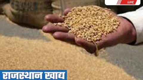 Sikar News – 52985 लोगों ने छोड़ा खाद्य सुरक्षा लाभ, 240 को नोटिस जारी