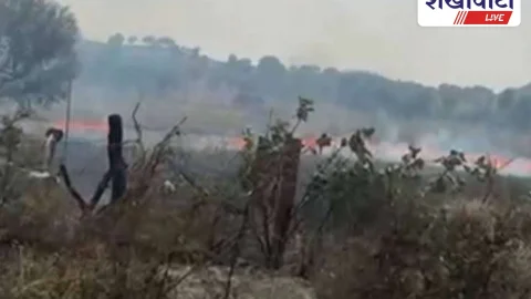 फतेहपुर के गांव में विद्युत चिंगारी से लगी आग, खेत जलकर राख