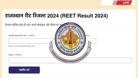 REET Result 2025 जारी: अभी पाएं रिजल्ट अलर्ट SMS और WhatsApp पर – सीधा लिंक यहां