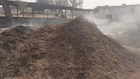 गोशाला के चारागृह में अज्ञात कारणों से पराली में लगी आग