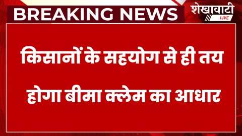 चूरू में खरीफ फसल कटाई प्रयोग शुरू, किसानों से सहयोग अपील